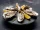 oysters